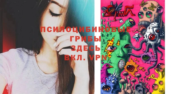 2c-b Богданович