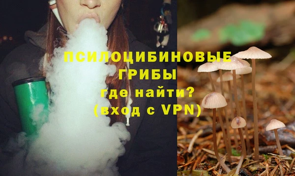 Альфа ПВП Богородицк